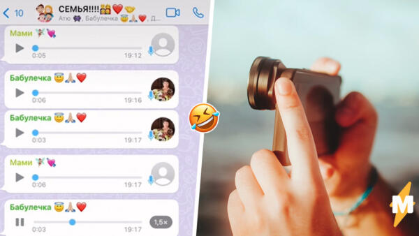 Как общаются в семейном чате в WhatsApp. В переписках блогерши бабушка-командир, выпивающая за кота