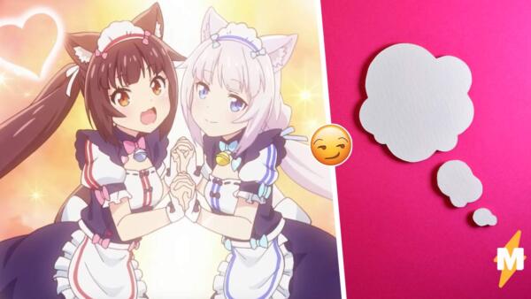 Что значит "похотливый тестомес". Фраза из визуальной новеллы Nekopara стала мемом