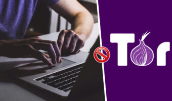 Что известно о проблемах с доступом к Tor. В РФ запретили сайт после инструкций об обходе блокировки