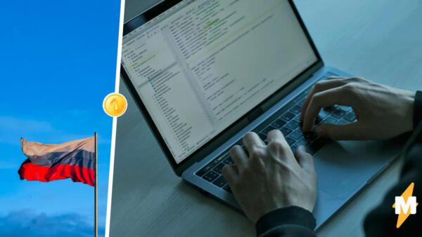 Как власти пытаются удержать айтишников в России. Покупают таргет-рекламу и обещают место в "кибервойсках"