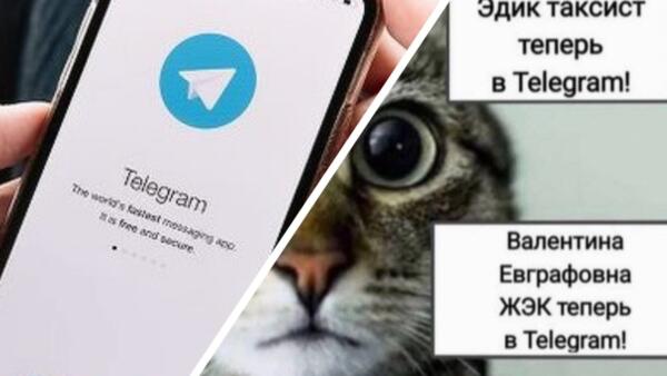 Что за мем "Теперь в Telegram". В рунете высмеяли массовую миграцию пользователей в мессенджер