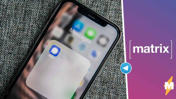 На что россияне заменяют телеграм. Скачивают Matrix и Signal, боясь слива данных в детище Павла Дурова