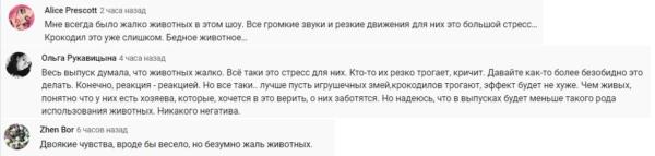 Данила Поперечный на шоу "Кажется, нащупал" ткнул крокодила в глаз. Зрители жалели разозлённую рептилию