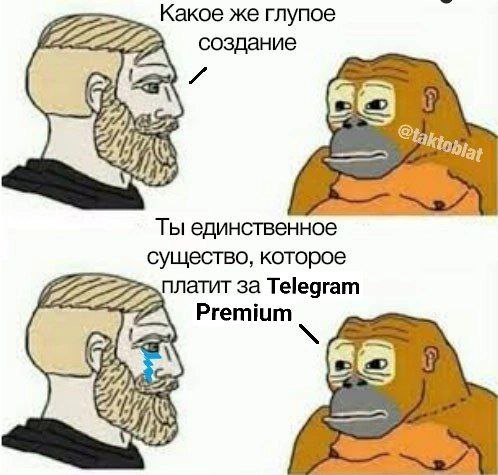 (без названия)