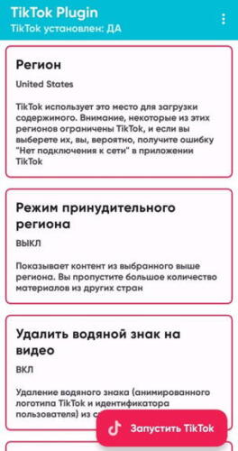 Что за мод для тиктока. В тренде россияне пытаются постить видео и смотреть ролики без ограничений