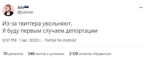 Айтишница из РФ хвастала, как уходит от налогов в Эстонии. Теперь блогерша под прицелом местных властей