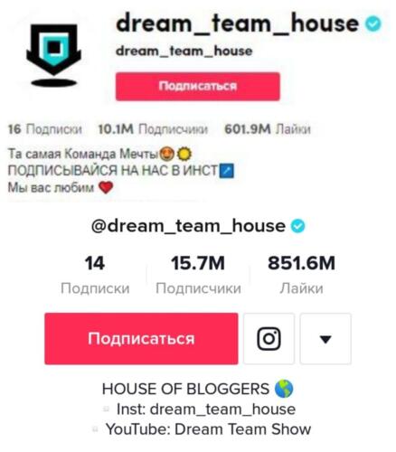 Как тиктокеры из Dream team house мимикрируют под американцев. На английском поздравляют с Днём благодарения