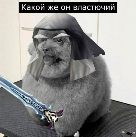 (без названия)