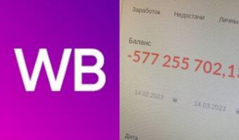 Почему владельцы пунктов выдачи протестуют у офиса WildBerries. Борются со штрафами за брак и подмены