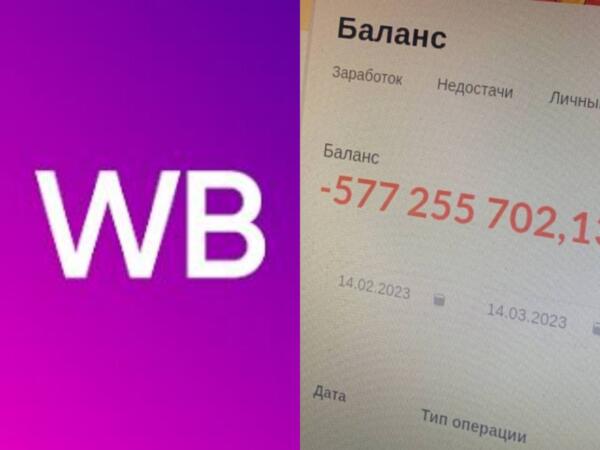 Почему владельцы пунктов выдачи протестуют у офиса WildBerries. Борются со штрафами за брак и подмены