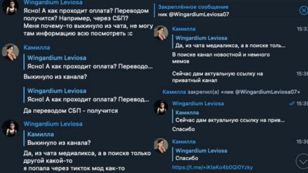 Как скамеры создали фейковый канал MediaLeaks.