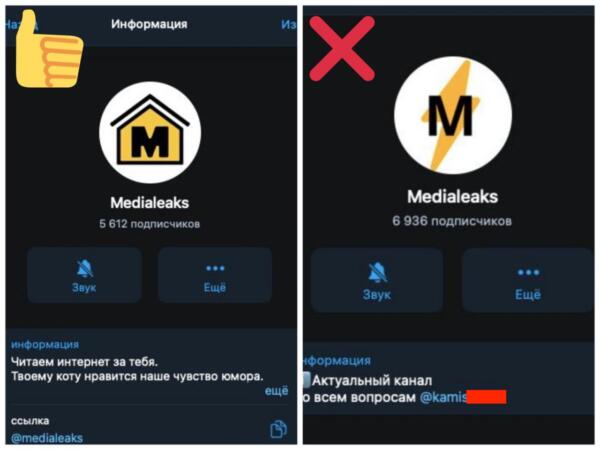 Скамеры создали фейковый чат MediaLeaks, где обещают Telegram Premium за 165 ?. Мы с ними пообщались