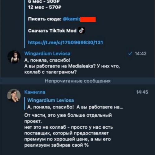 Скамеры создали фейковый чат MediaLeaks, где обещают Telegram Premium за 165 ?. Мы с ними пообщались