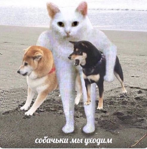 (без названия)