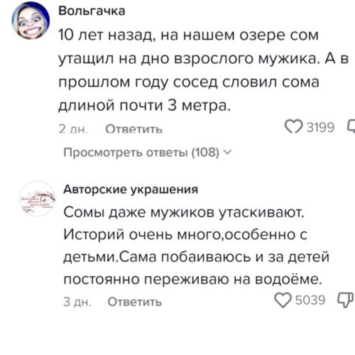 (без названия)