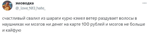 Что за мем "Ни мозгов, ни денег". Песня группы "Комсомольск" в тренде про неудачи и разочарования