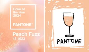 Pantone объявил цвет <<персикового пуха>> цветом 2024 года. Бренды обыграли выбор в ироничном тренде